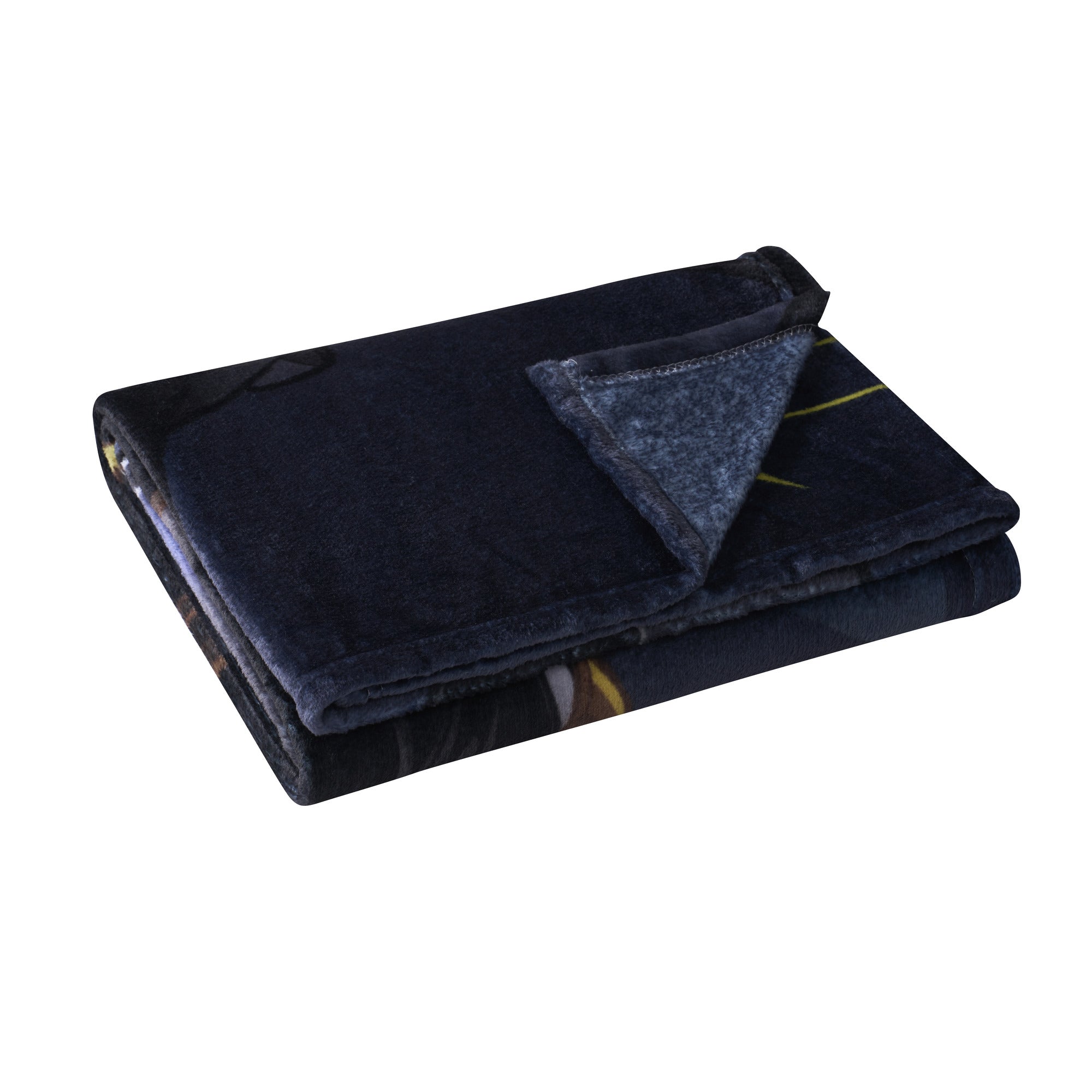 Batman Micro Raschel Throw Blanket 46