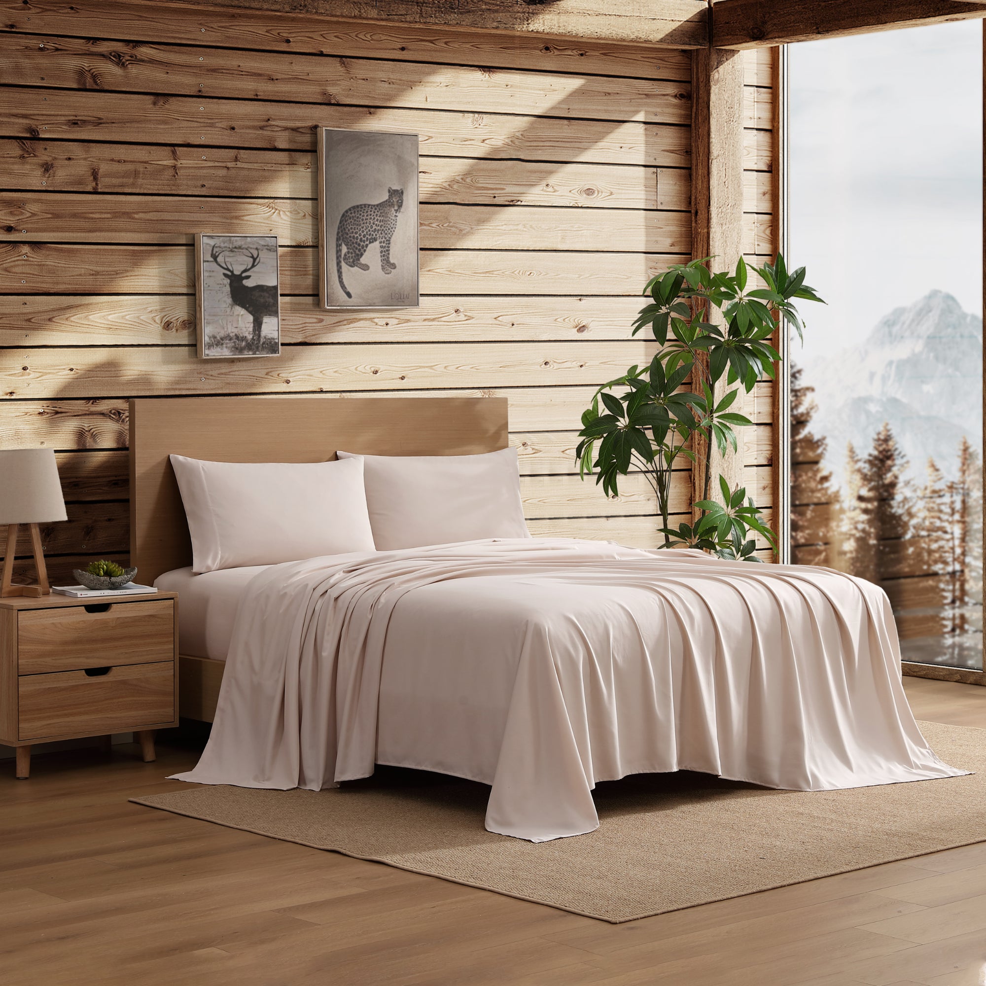 Coleman® 4 Piece Solid Sheet Set, Ultra Soft, Easy Care, Double Brushed Microfiber
