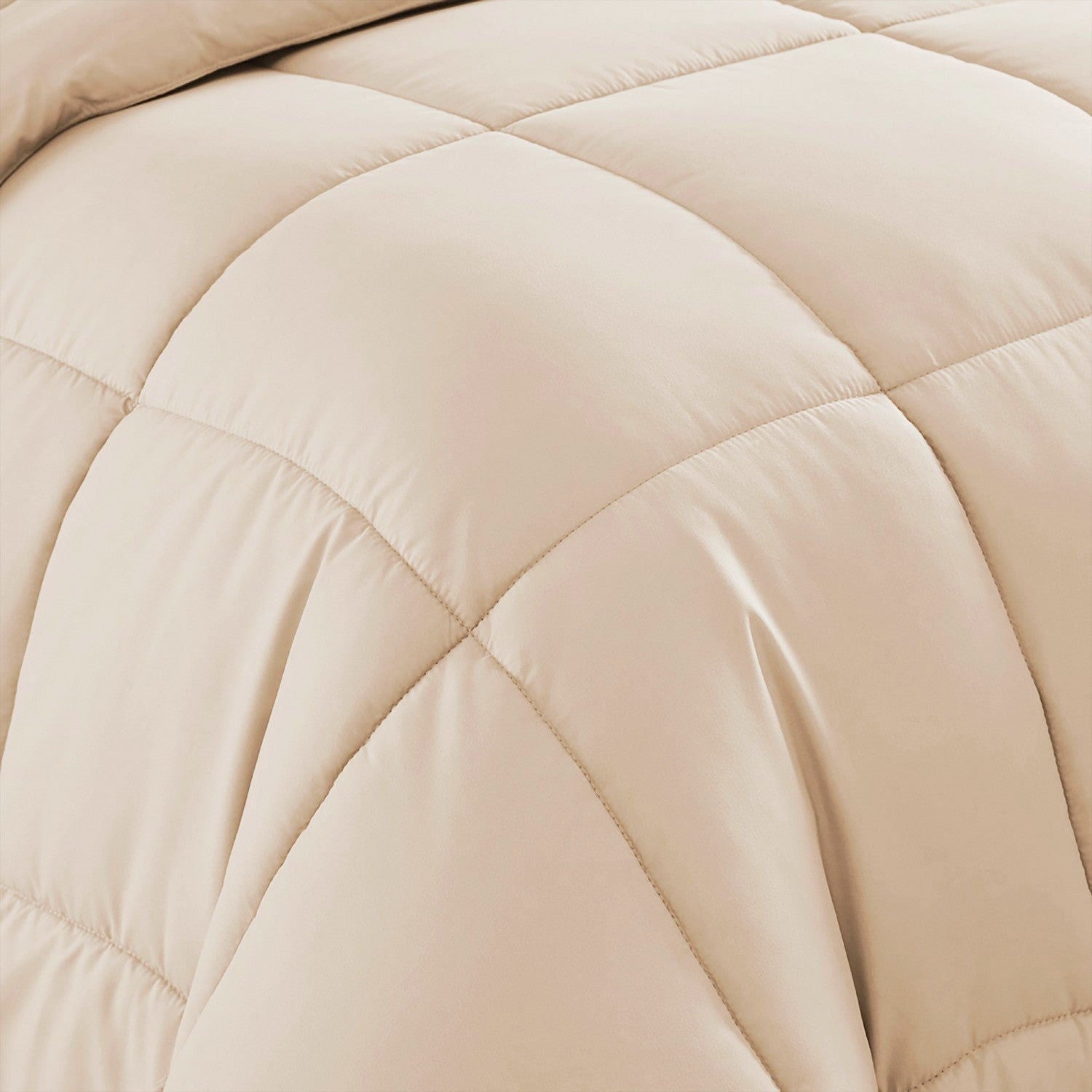 Basic 5-Piece Bed in a Bag Set Cream - Comforter Detail