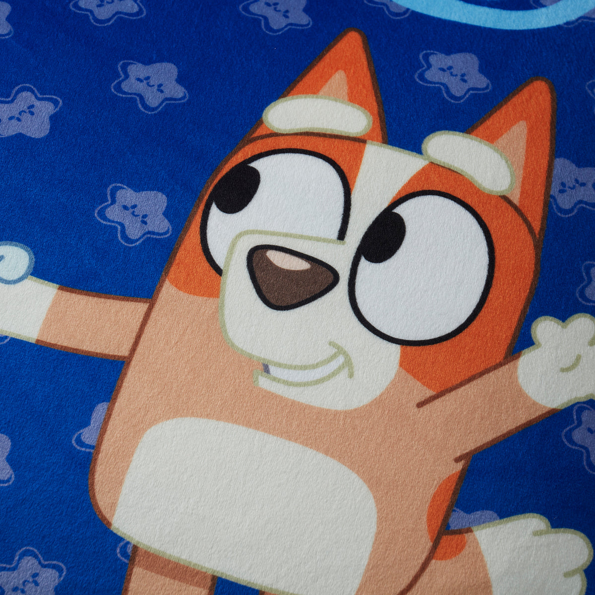 Bluey Leg Shell Bluey Kids Reversible Pillow with Removable Shell | Sweet Home Collection